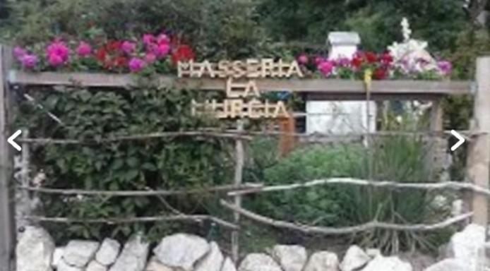 Wildcamp Resort Masseria La Murgia Unterkunft In Einem Wohnwagen Rimbach  Dış mekan fotoğraf
